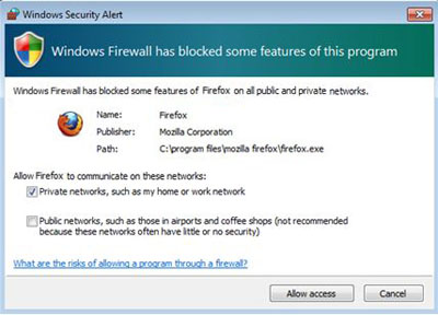 Win7AllowAccessFirewall.jpg