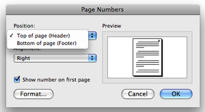 Page Number Dialog