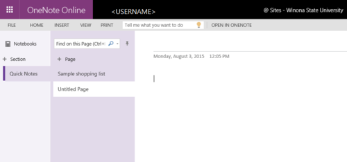 OneNote Page.PNG