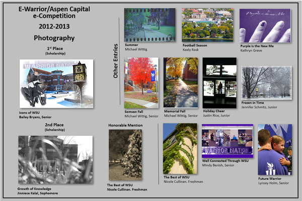 PhotographyEntries2012.png