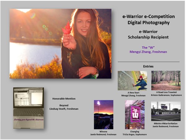 PhotographyEntries2013.png