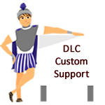 DLCCustomSupport.png