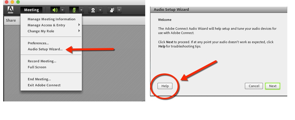 Audio Wizard.jpg