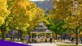 Wsu-zoom-background---gazebo-in-the-fall 49746236806 o.jpg