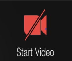 Start Video