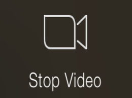 Stop Video