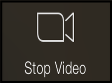 Stop Video